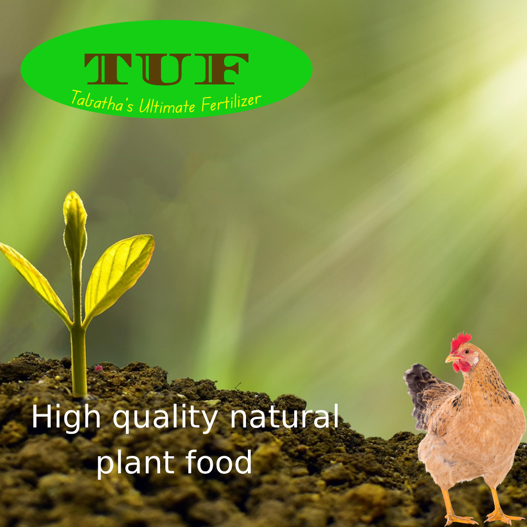 Image of Advertisement